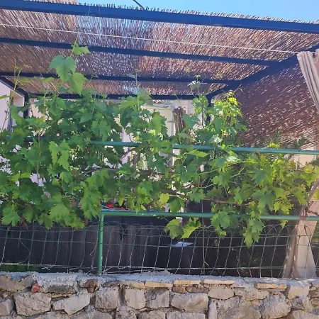 By The Sea - 23783 * Šibenik